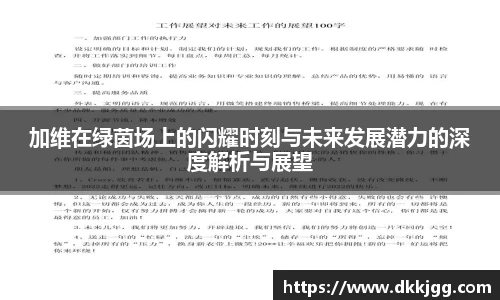 加维在绿茵场上的闪耀时刻与未来发展潜力的深度解析与展望